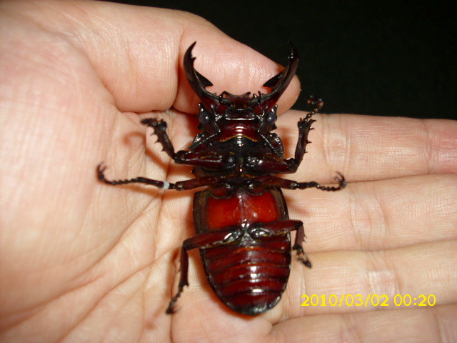 按此在新視窗瀏覽圖片