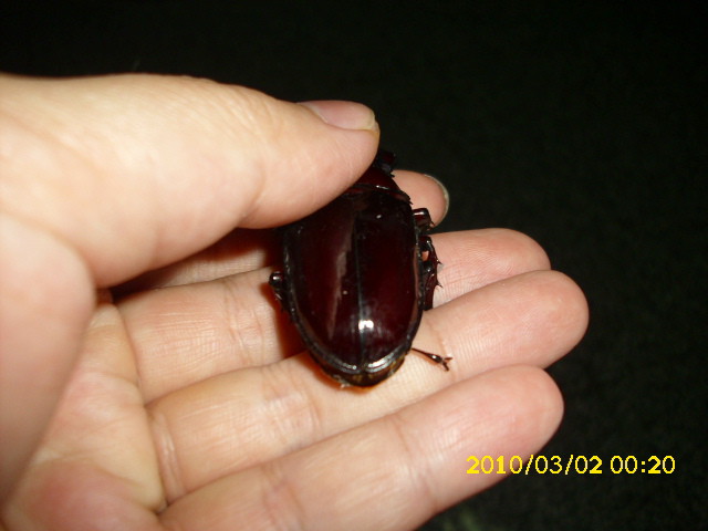 按此在新視窗瀏覽圖片