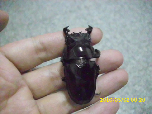 按此在新視窗瀏覽圖片