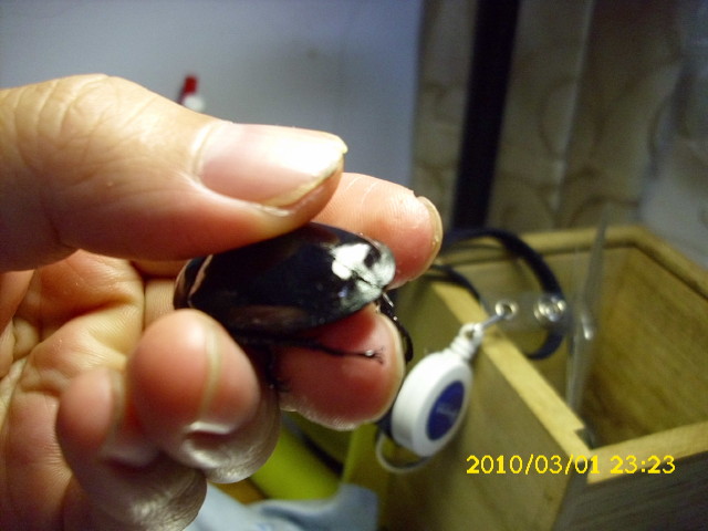 按此在新視窗瀏覽圖片