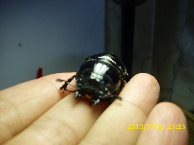 按此在新視窗瀏覽圖片