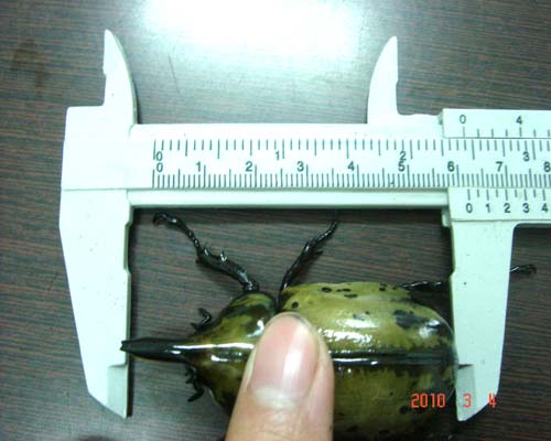 按此在新視窗瀏覽圖片