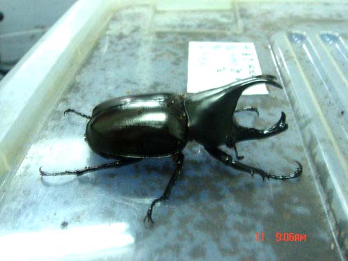 按此在新視窗瀏覽圖片