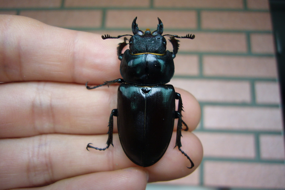 按此在新視窗瀏覽圖片