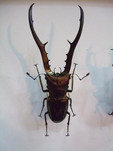 按此在新視窗瀏覽圖片