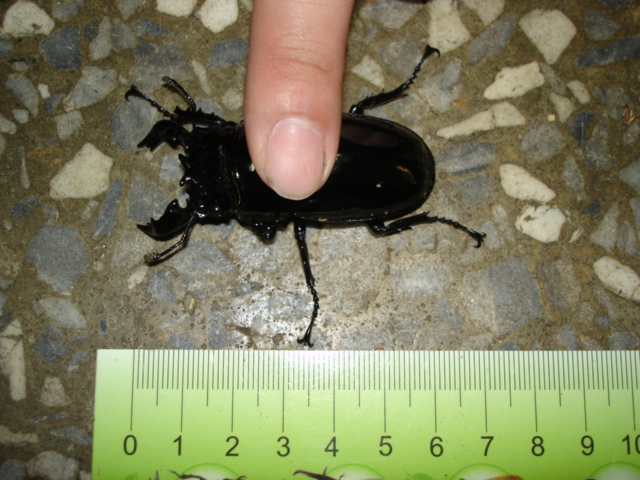 按此在新視窗瀏覽圖片