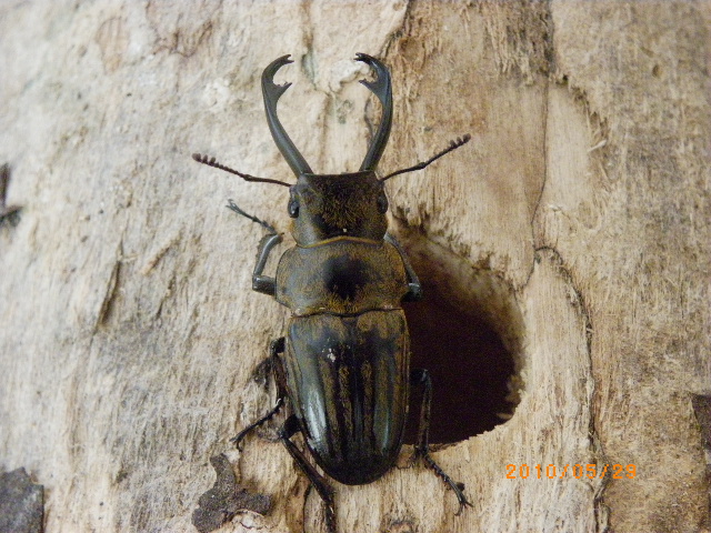 按此在新視窗瀏覽圖片