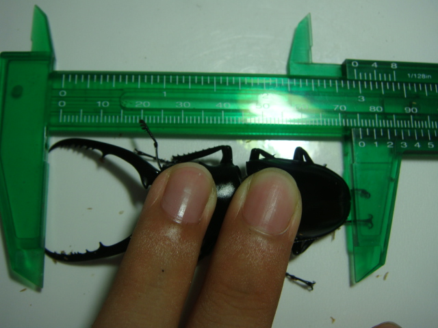 按此在新視窗瀏覽圖片