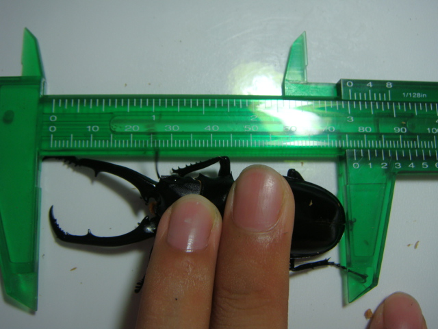 按此在新視窗瀏覽圖片