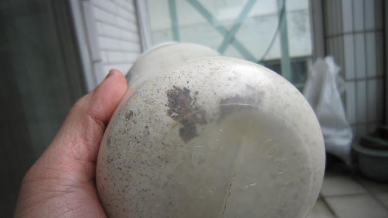 按此在新視窗瀏覽圖片