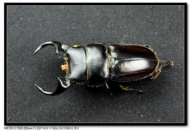 «ö¦¹¦b·sµøµ¡ÂsÄý¹Ï¤ù