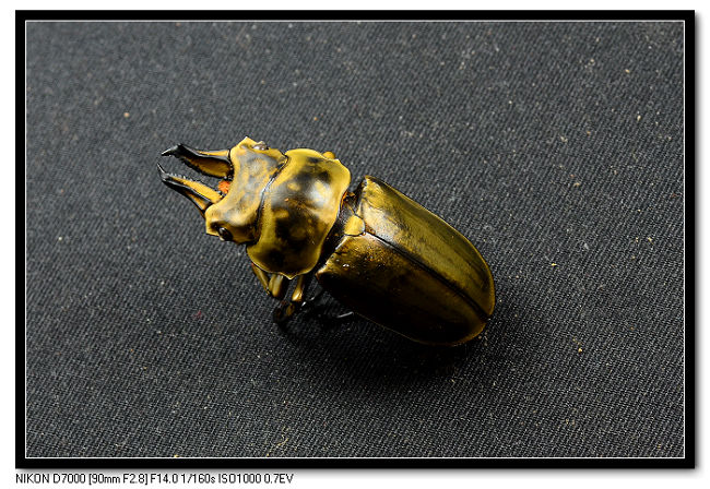 «ö¦¹¦b·sµøµ¡ÂsÄý¹Ï¤ù