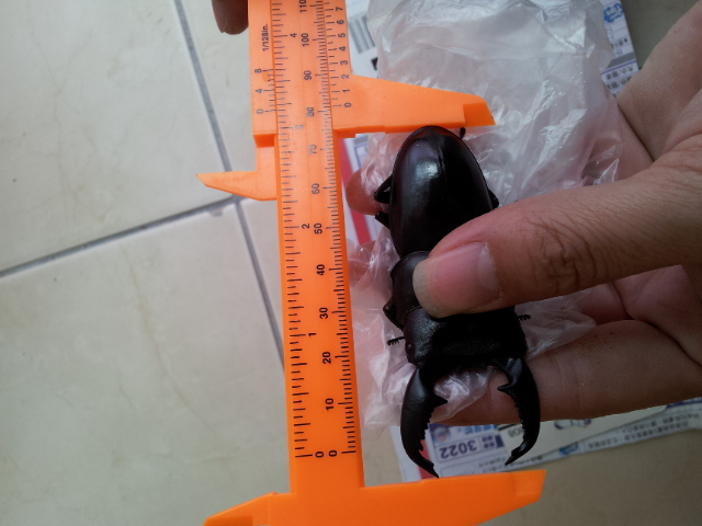 «ö¦¹¦b·sµøµ¡ÂsÄý¹Ï¤ù