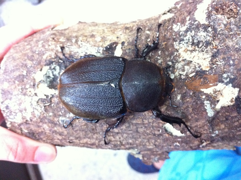 按此在新視窗瀏覽圖片