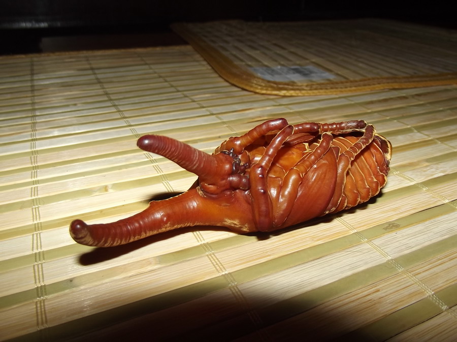 «ö¦¹¦b·sµøµ¡ÂsÄý¹Ï¤ù