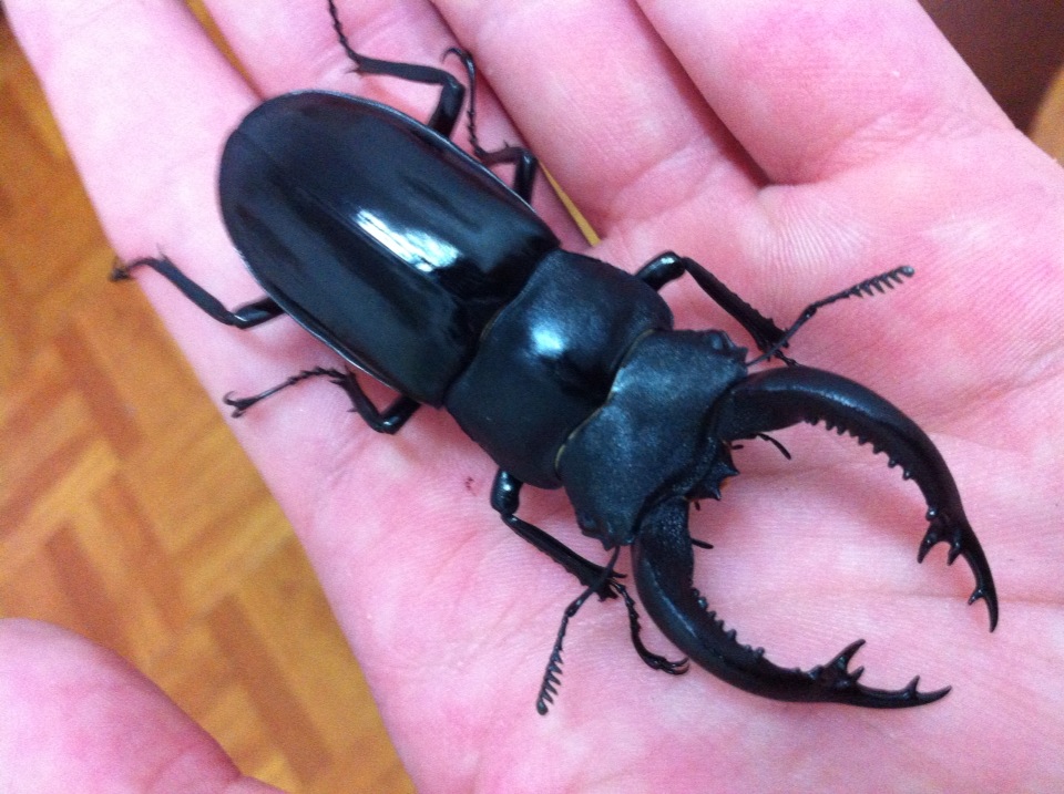 按此在新視窗瀏覽圖片