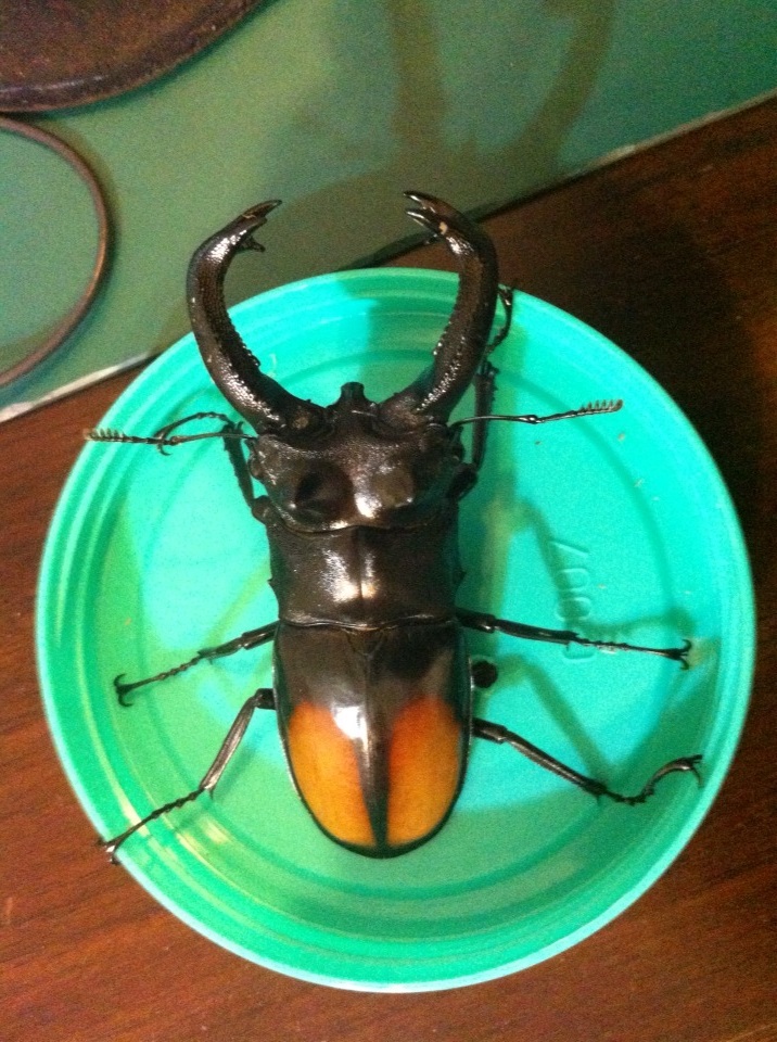 按此在新視窗瀏覽圖片