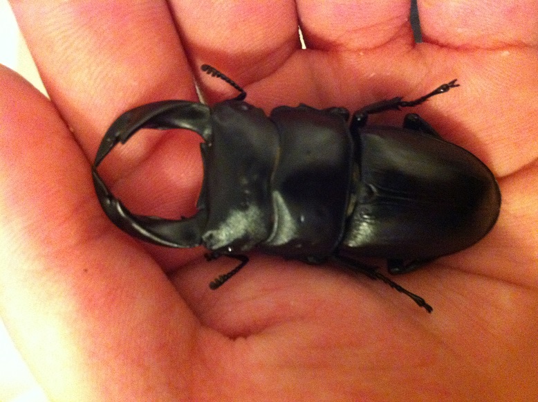 按此在新視窗瀏覽圖片