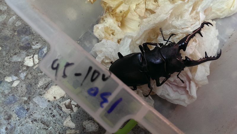 按此在新視窗瀏覽圖片