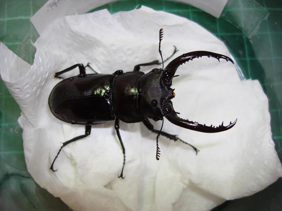 按此在新視窗瀏覽圖片