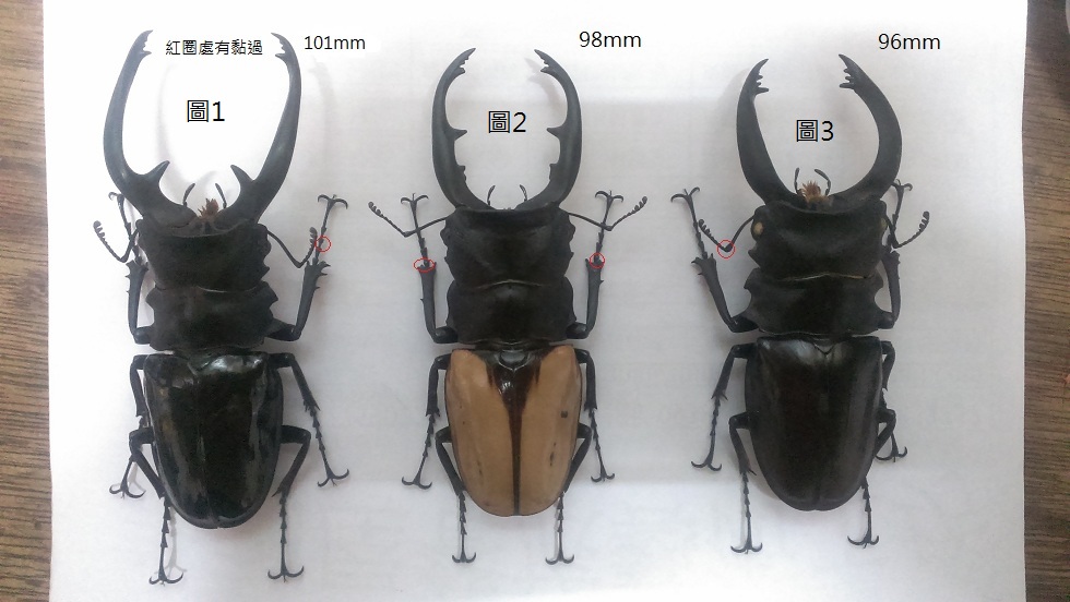 按此在新視窗瀏覽圖片