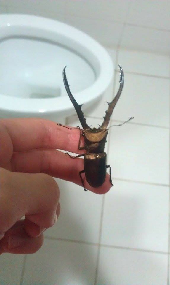 «ö¦¹¦b·sµøµ¡ÂsÄý¹Ï¤ù
