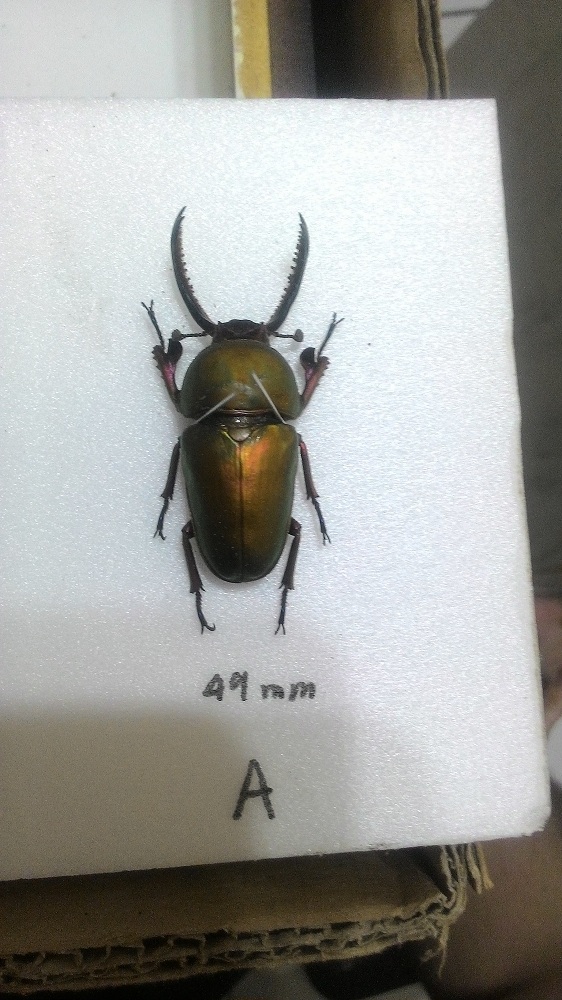 «ö¦¹¦b·sµøµ¡ÂsÄý¹Ï¤ù