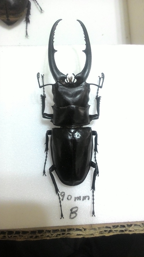 «ö¦¹¦b·sµøµ¡ÂsÄý¹Ï¤ù