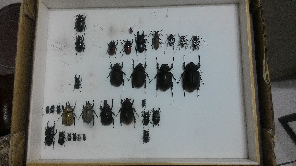 «ö¦¹¦b·sµøµ¡ÂsÄý¹Ï¤ù