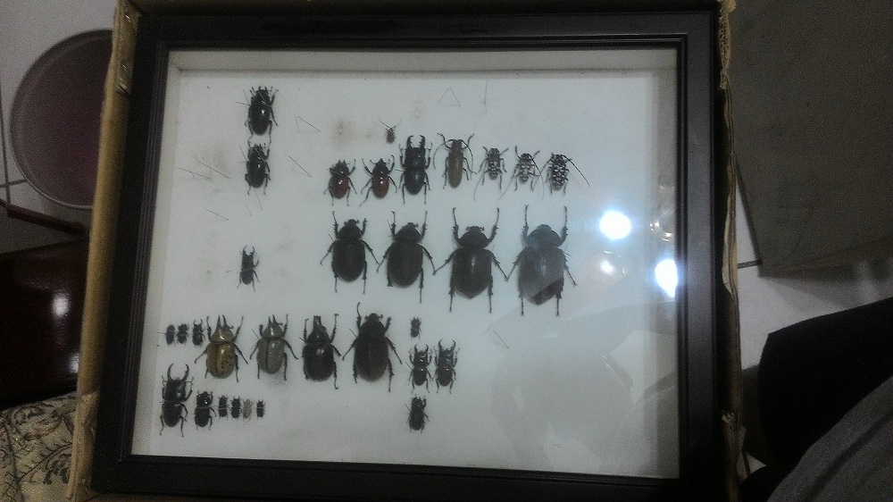 «ö¦¹¦b·sµøµ¡ÂsÄý¹Ï¤ù