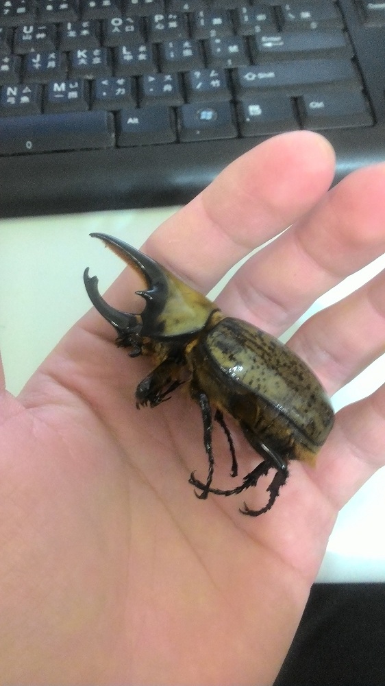 «ö¦¹¦b·sµøµ¡ÂsÄý¹Ï¤ù