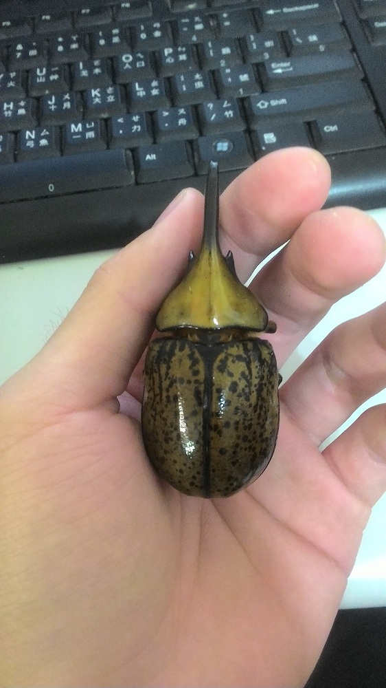 «ö¦¹¦b·sµøµ¡ÂsÄý¹Ï¤ù