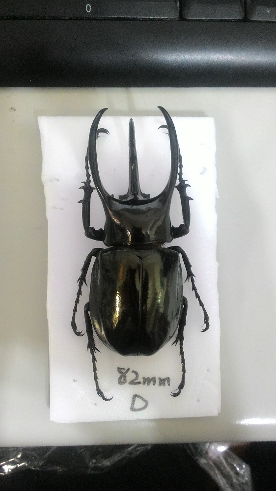 «ö¦¹¦b·sµøµ¡ÂsÄý¹Ï¤ù