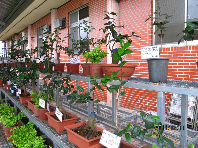 «ö¦¹¦b·sµøµ¡ÂsÄý¹Ï¤ù