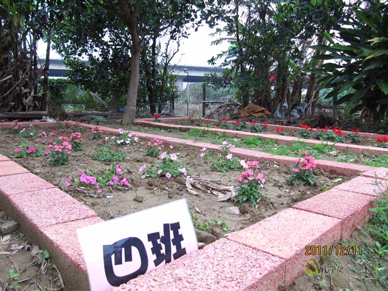 «ö¦¹¦b·sµøµ¡ÂsÄý¹Ï¤ù