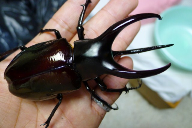 «ö¦¹¦b·sµøµ¡ÂsÄý¹Ï¤ù