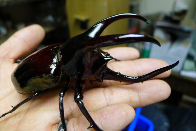 «ö¦¹¦b·sµøµ¡ÂsÄý¹Ï¤ù