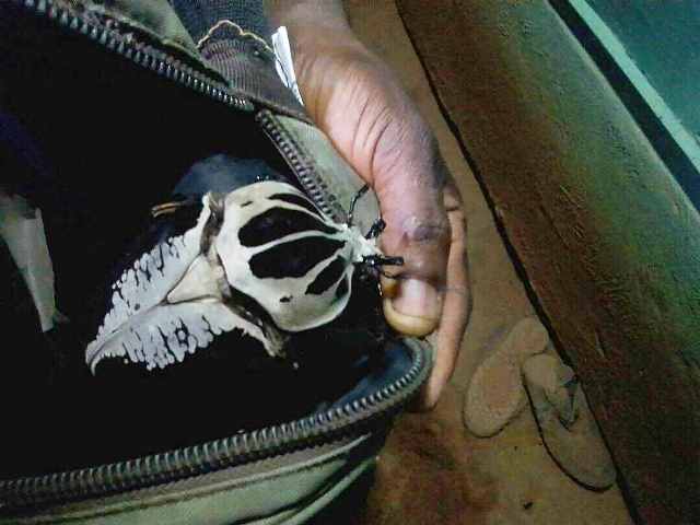 按此在新視窗瀏覽圖片