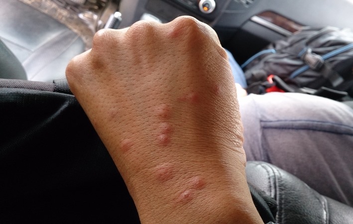 按此在新視窗瀏覽圖片