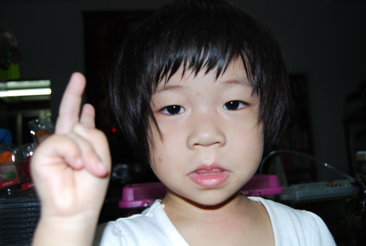 «ö¦¹¦b·sµøµ¡ÂsÄý¹Ï¤ù