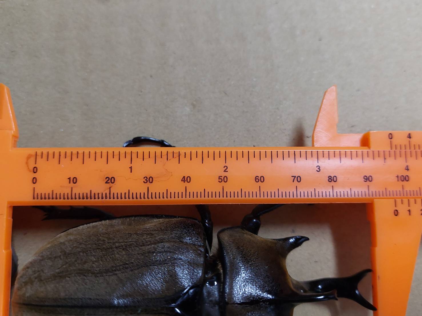 «ö¦¹¦b·sµøµ¡ÂsÄý¹Ï¤ù