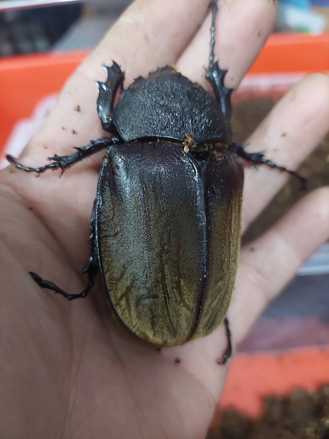 «ö¦¹¦b·sµøµ¡ÂsÄý¹Ï¤ù